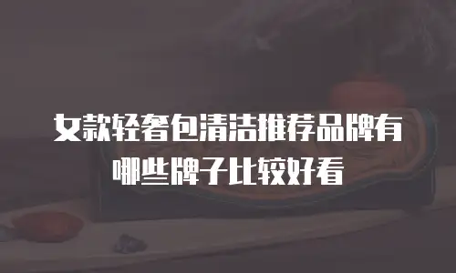 女款轻奢包清洁推荐品牌有哪些牌子比较好看
