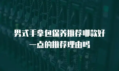 男式手拿包保养推荐哪款好一点的推荐理由吗