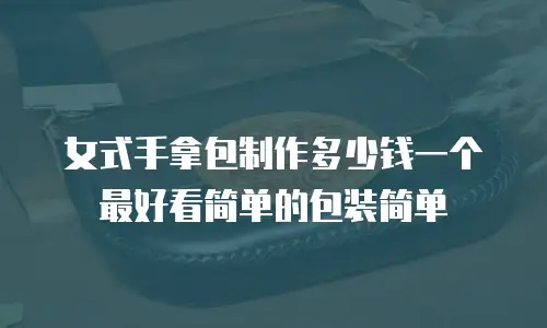 女式手拿包制作多少钱一个最好看简单的包装简单