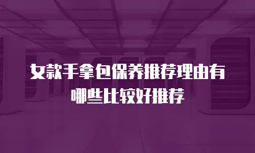 女款手拿包保养推荐理由有哪些比较好推荐
