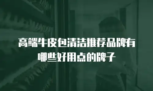 高端牛皮包清洁推荐品牌有哪些好用点的牌子