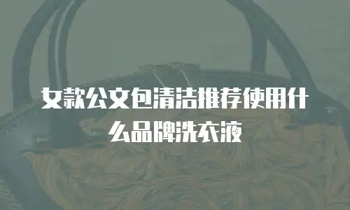 女款公文包清洁推荐使用什么品牌洗衣液