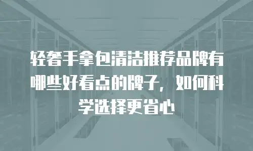 轻奢手拿包清洁推荐品牌有哪些好看点的牌子，如何科学选择更省心