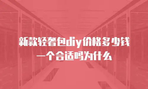 新款轻奢包diy价格多少钱一个合适吗为什么