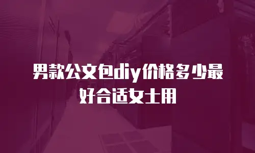男款公文包diy价格多少最好合适女士用