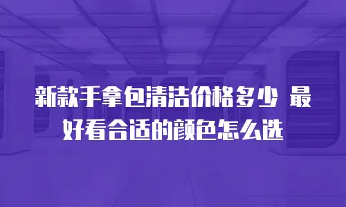 新款手拿包清洁价格多少 最好看合适的颜色怎么选