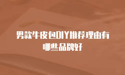 男款牛皮包DIY推荐理由有哪些品牌好