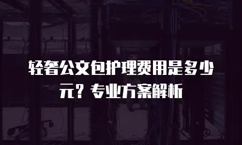 轻奢公文包护理费用是多少元？专业方案解析