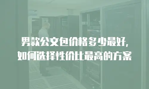 男款公文包价格多少最好，如何选择性价比最高的方案