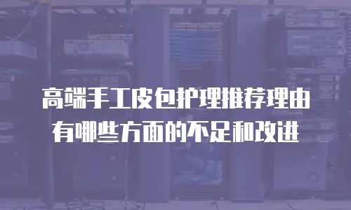 高端手工皮包护理推荐理由有哪些方面的不足和改进