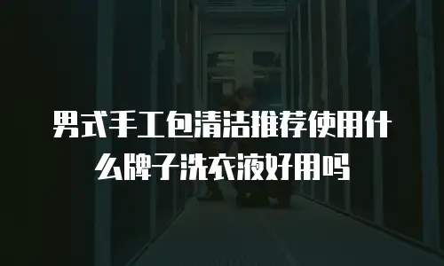 男式手工包清洁推荐使用什么牌子洗衣液好用吗