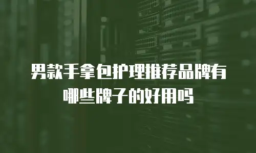 男款手拿包护理推荐品牌有哪些牌子的好用吗
