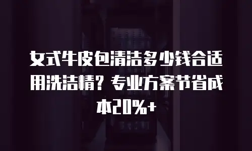 女式牛皮包清洁多少钱合适用洗洁精？专业方案节省成本20%+