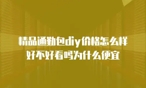 精品通勤包diy价格怎么样好不好看吗为什么便宜