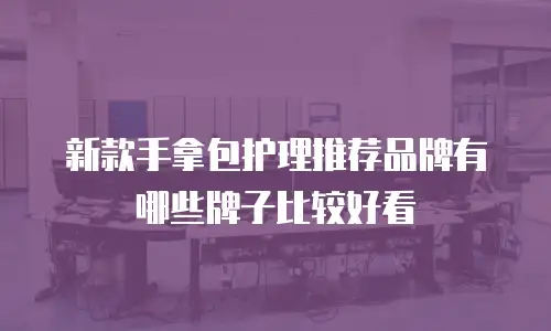 新款手拿包护理推荐品牌有哪些牌子比较好看