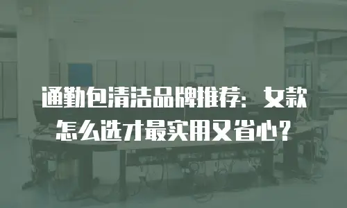 通勤包清洁品牌推荐：女款怎么选才最实用又省心？