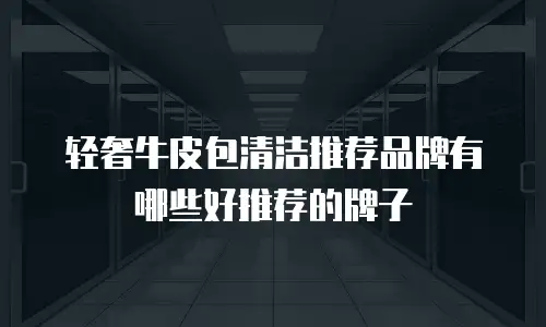 轻奢牛皮包清洁推荐品牌有哪些好推荐的牌子