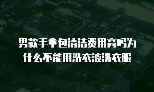 男款手拿包清洁费用高吗为什么不能用洗衣液洗衣服