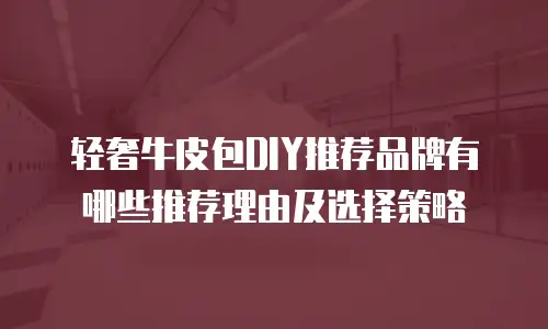 轻奢牛皮包DIY推荐品牌有哪些推荐理由及选择策略