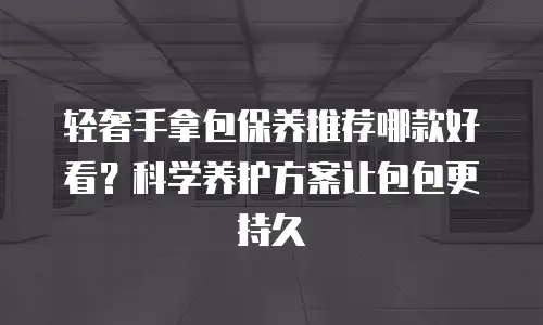 轻奢手拿包保养推荐哪款好看？科学养护方案让包包更持久