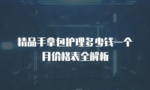 精品手拿包护理多少钱一个月价格表全解析