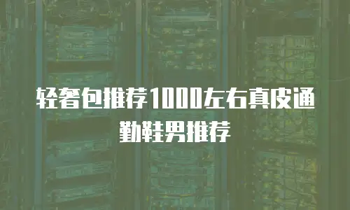 轻奢包推荐1000左右真皮通勤鞋男推荐