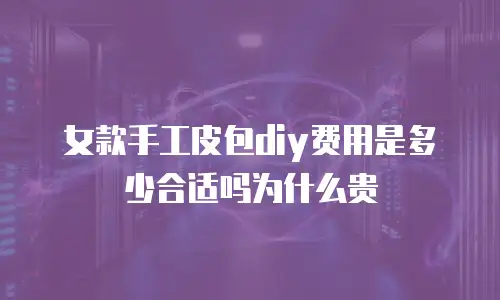 女款手工皮包diy费用是多少合适吗为什么贵