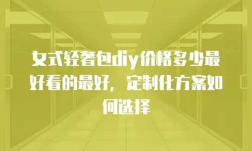 女式轻奢包diy价格多少最好看的最好，定制化方案如何选择