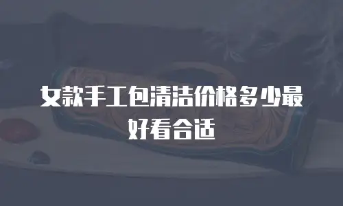 女款手工包清洁价格多少最好看合适