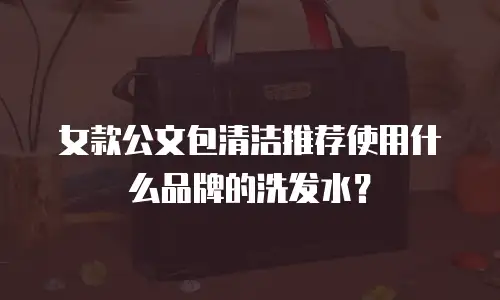 女款公文包清洁推荐使用什么品牌的洗发水？