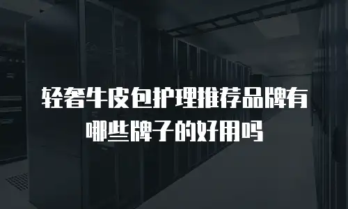 轻奢牛皮包护理推荐品牌有哪些牌子的好用吗