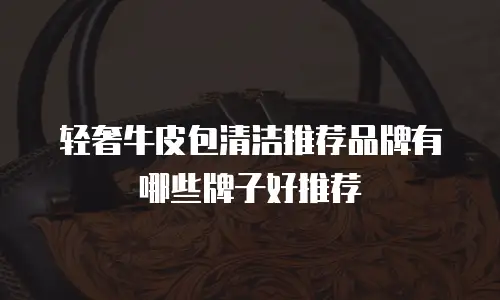 轻奢牛皮包清洁推荐品牌有哪些牌子好推荐