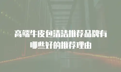 高端牛皮包清洁推荐品牌有哪些好的推荐理由