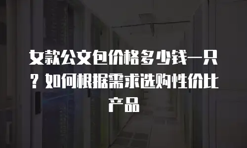女款公文包价格多少钱一只？如何根据需求选购性价比产品