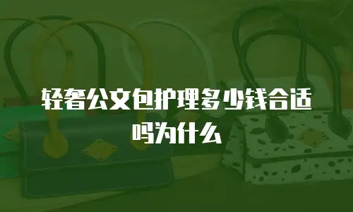 轻奢公文包护理多少钱合适吗为什么