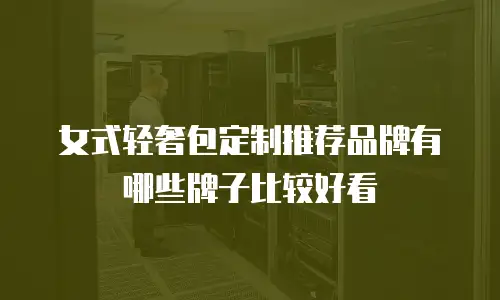 女式轻奢包定制推荐品牌有哪些牌子比较好看