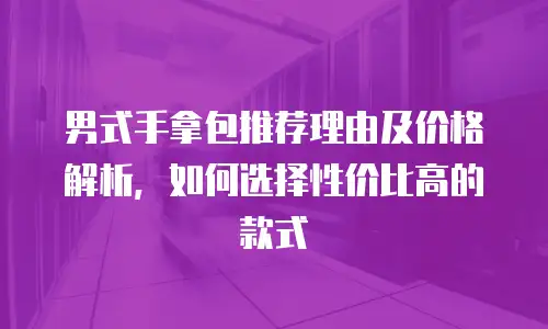 男式手拿包推荐理由及价格解析，如何选择性价比高的款式