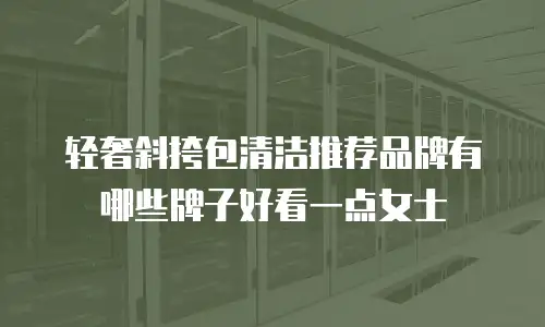 轻奢斜挎包清洁推荐品牌有哪些牌子好看一点女士