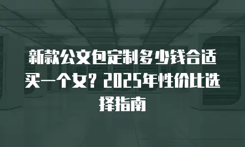 新款公文包定制多少钱合适买一个女？2025年性价比选择指南
