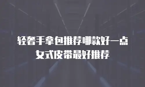 轻奢手拿包推荐哪款好一点女式皮带最好推荐