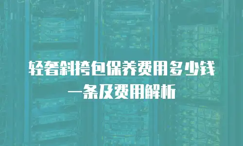 轻奢斜挎包保养费用多少钱一条及费用解析