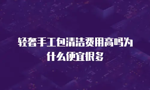 轻奢手工包清洁费用高吗为什么便宜很多