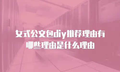 女式公文包diy推荐理由有哪些理由是什么理由
