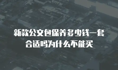 新款公文包保养多少钱一套合适吗为什么不能买