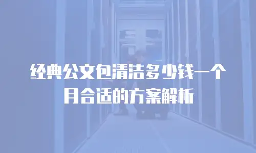 经典公文包清洁多少钱一个月合适的方案解析