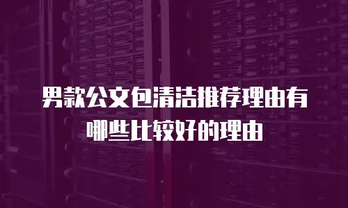 男款公文包清洁推荐理由有哪些比较好的理由