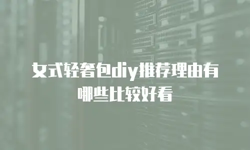 女式轻奢包diy推荐理由有哪些比较好看