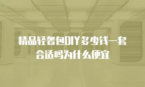精品轻奢包DIY多少钱一套合适吗为什么便宜