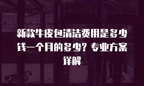 新款牛皮包清洁费用是多少钱一个月的多少？专业方案详解