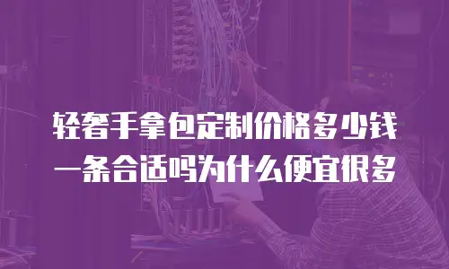 轻奢手拿包定制价格多少钱一条合适吗为什么便宜很多
